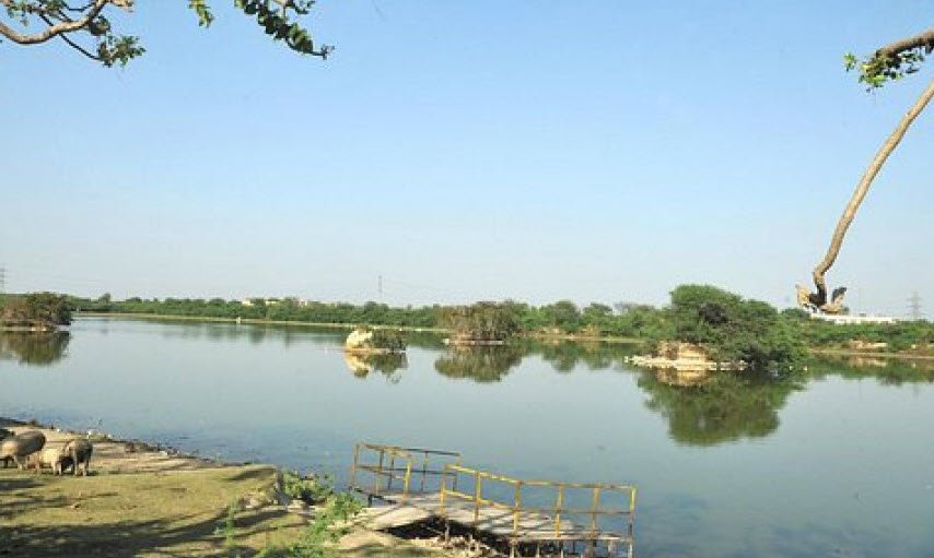 Blue Bird Lake